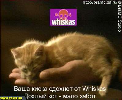 Whiskas