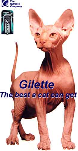 Gilette